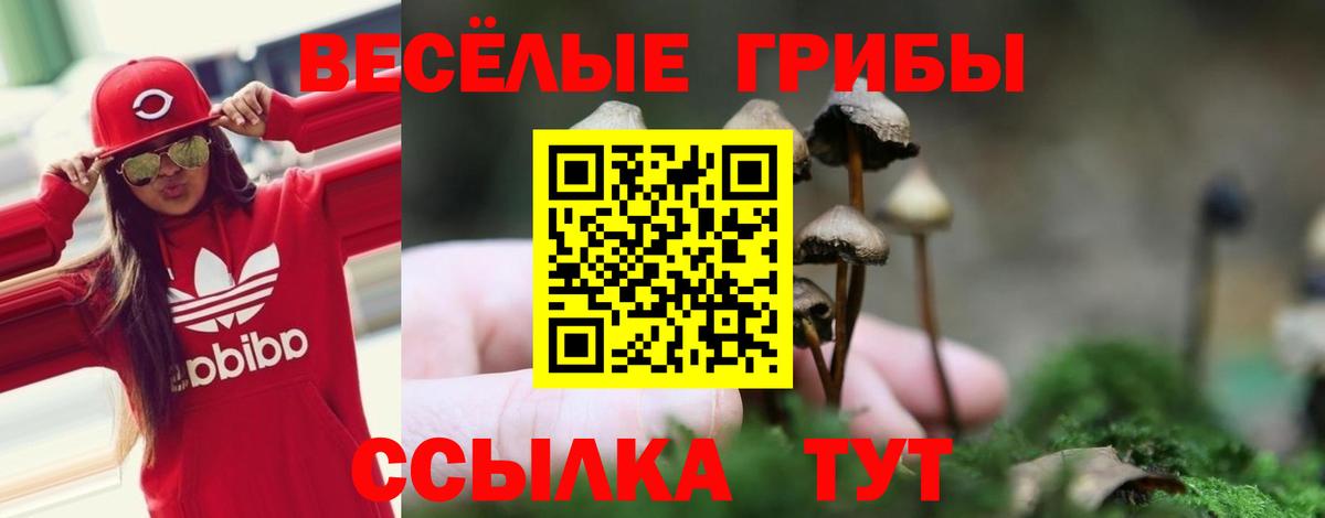 Краснодар  Псилоцибиновые грибы GOLDEN TEACHER  Вход с VPN 